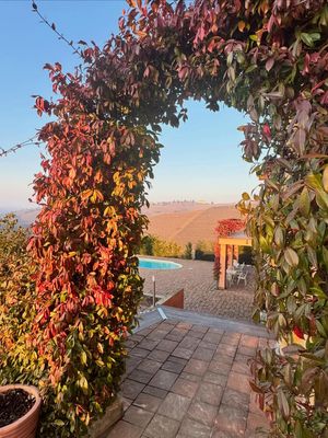 Image post by @villagarassino on Instagram