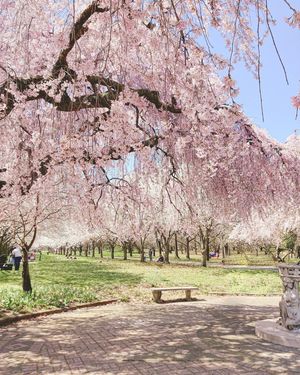 Image post by @discover_phl on Instagram