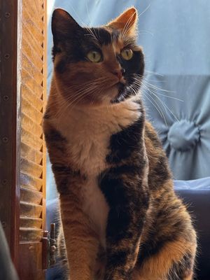 Image post by @sailing_with_phoenix on Instagram