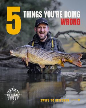 Image post by @brothercarp on Instagram