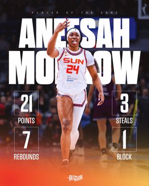 Image post by @ConnecticutSun on Twitter