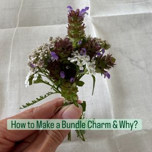 Image post by @wychs_bloom on Instagram