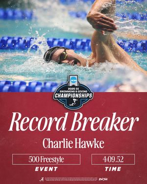 Image post by @alabamaswimdive on Instagram