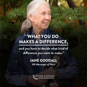 Image post by @unfoundation on Instagram