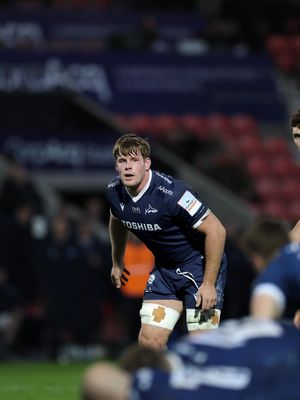 Image post by @salesharks on Instagram