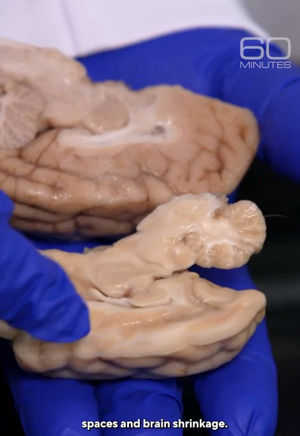Video post by @60minutes on TikTok