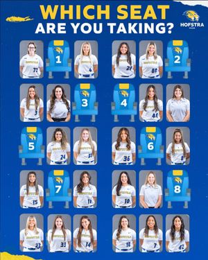 Image post by @hofstrasoftball on Instagram