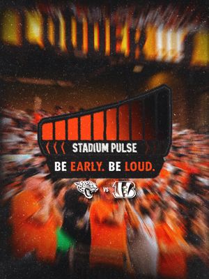 Image post by @bengals on Instagram
