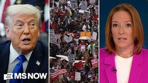 Video post by @msnbc on YouTube