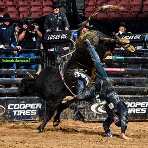 Image post by @PBR on Twitter