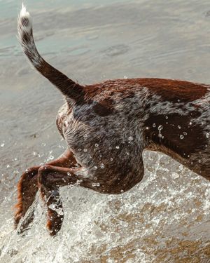 Image post by @vsco on Instagram