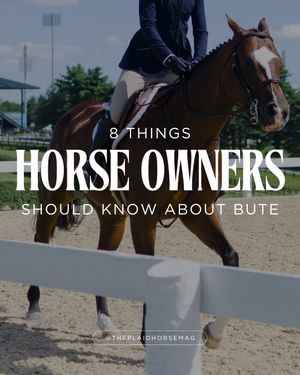 Image post by @theplaidhorsemag on Instagram