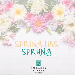 Image post by @embassysuitesgvilledt on Instagram