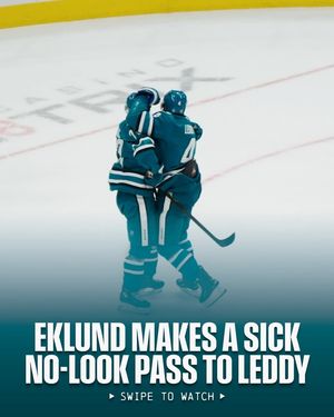 Image post by @nhl on Instagram