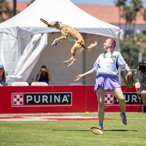 Image post by @purina on Instagram