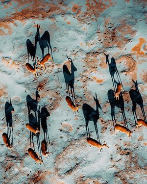 Image post by @droneartgallery on Instagram