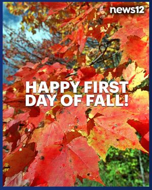 Image post by @news12li on Instagram