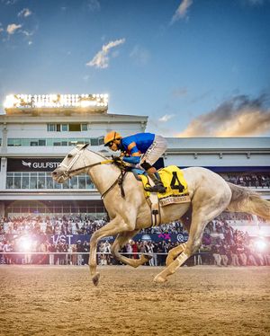 Image post by @pegasusworldcup on Instagram
