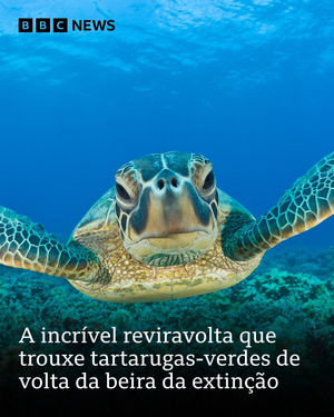 Image post by @bbcbrasil on Instagram