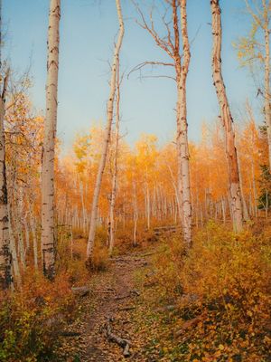 Image post by @alexkittoephotos on Instagram