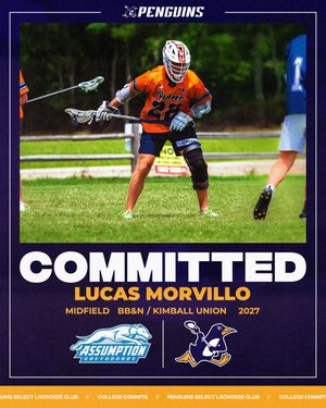 Image post by @penguinlax on Instagram