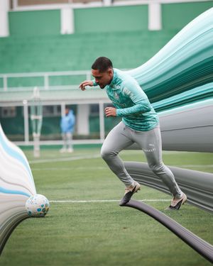 Image post by @palmeiras on Instagram