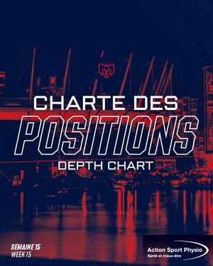 Image post by @mtlalouettes on Instagram