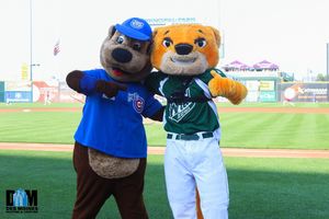 Image post by @iowawild on Instagram