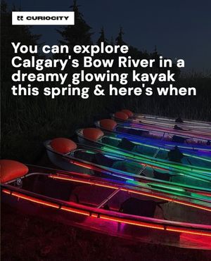Image post by @curiocitycalgary on Instagram