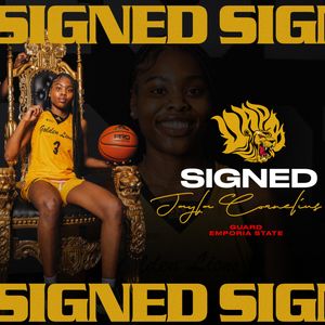 Image post by @uapblionswbb on Instagram