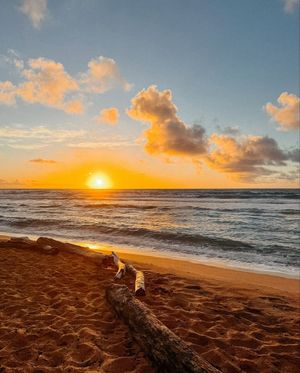 Image post by @thekauaishores on Instagram