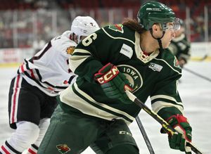 Image post by @IAWild on Twitter