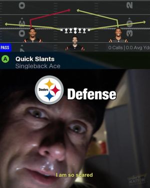 Image post by @steelernationcom on Instagram