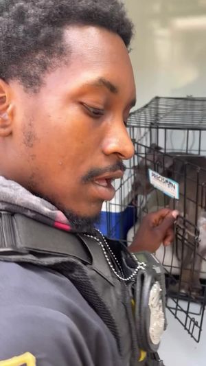 Video post by @DetroitGSD on Facebook