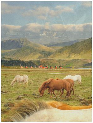 Image post by @alexkittoephotos on Instagram