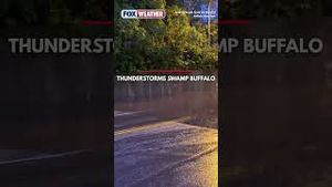 Video post by @foxweather on YouTube
