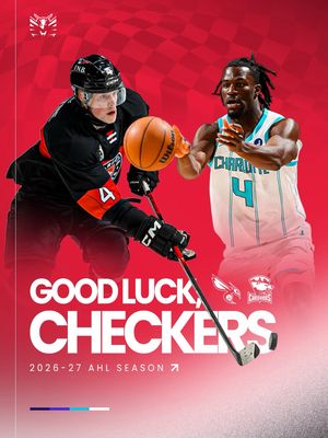 Image post by @hornets on Instagram