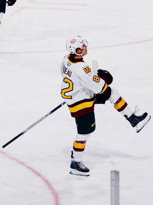 Image post by @chicagowolves on Instagram