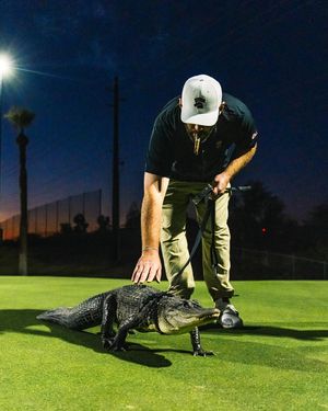 Image post by @golfnow on Instagram