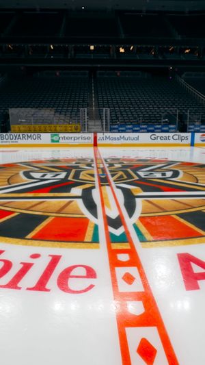 Video post by @vegasgoldenknights on Facebook