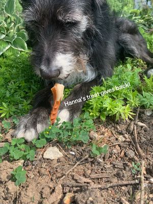 Video post by @livelikeroofoundation on TikTok