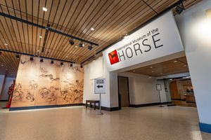Image post by @kyhorsepark on Instagram