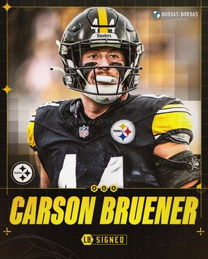 Image post by @steelers on Instagram