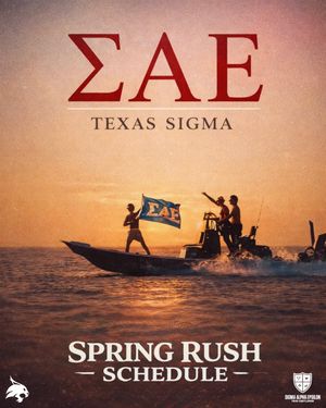 Image post by @txstsae on Instagram