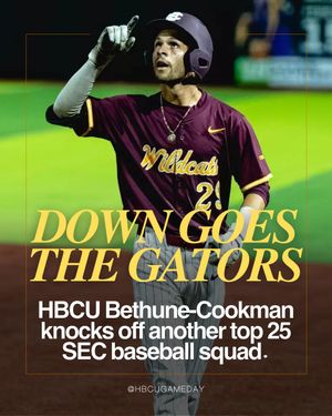 Image post by @hbcugameday on Instagram