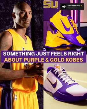 Image post by @soleretriever on Instagram