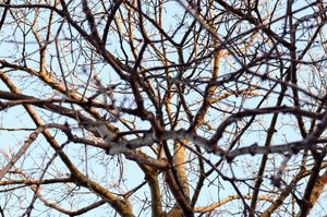 Image post by @itskrystalj on Instagram