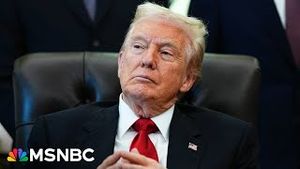 Video post by @msnbc on YouTube