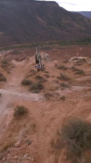 Video post by @redbullbike on TikTok
