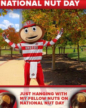 Image post by @ohiostathletics on Instagram